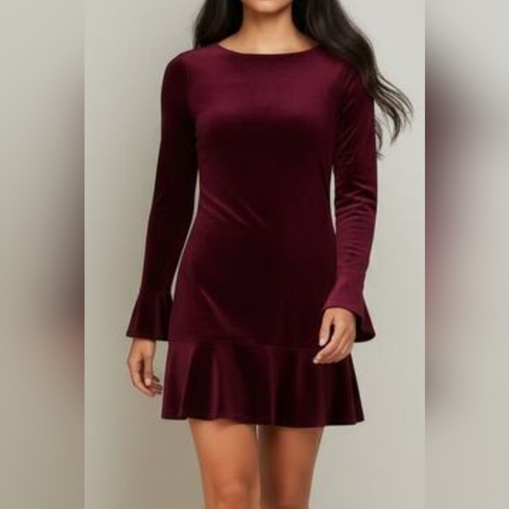 NWT. Johnny Wujek Chic Long Sleeve Velvet Dress in Plum/Deep Burgundy